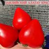 ЗАИЛИЙСКИЙ АЛАТАУ КРАСНЫЙ (ZAILIYSKIY ALATAU RED) - красное утонченное сердце 6182