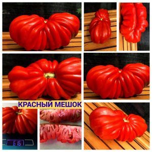 КРАСНЫЙ МЕШОК