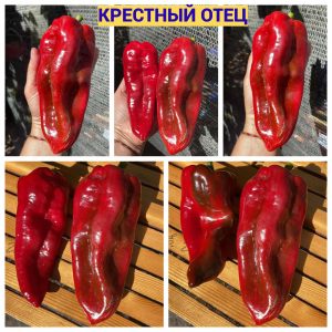 КРЕСТНЫЙ ОТЕЦ (GODFATHER) - красный перец, капия