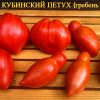 КУБИНСКИЙ ПЕТУХ - красные сливы томаты 6041