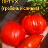 КУБИНСКИЙ ПЕТУХ - красные сливы томаты 6042