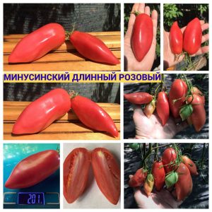 МИНУСИНСКИЙ ДЛИННЫЙ РОЗОВЫЙ - розовая удлиненная сливка