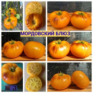 МОРДОВСКИЙ БЛЮЗ