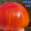 МЕДОВЫЙ ГИГАНТ (HONEY-GIANT) - гигантский оранжевый биколор, 10 семян 6540 МЕДОВЫЙ ГИГАНТ 6540