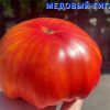 МЕДОВЫЙ ГИГАНТ (HONEY-GIANT) - гигантский оранжевый биколор, 10 семян 6541 МЕДОВЫЙ ГИГАНТ 6541