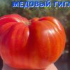 МЕДОВЫЙ ГИГАНТ (HONEY-GIANT) - гигантский оранжевый биколор, 10 семян 6543 МЕДОВЫЙ ГИГАНТ 6543