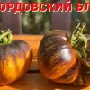 МОРДОВСКИЙ БЛЮЗ (MORDOVAN BLUES) - желтый приплюснутый томат, антоциан, 10 семян 6619 МОРДОВСКИЙ БЛЮЗ 6619