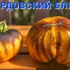 МОРДОВСКИЙ БЛЮЗ (MORDOVAN BLUES) - желтый приплюснутый томат, антоциан, 10 семян 6620 МОРДОВСКИЙ БЛЮЗ 6620