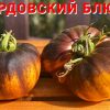 МОРДОВСКИЙ БЛЮЗ (MORDOVAN BLUES) - желтый приплюснутый томат, антоциан, 10 семян 6621 МОРДОВСКИЙ БЛЮЗ 6621