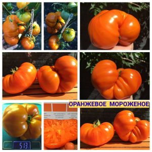 ОРАНЖЕВОЕ МОРОЖЕНОЕ (ORANGE ICE CREAM) - медный бифштекс-томат