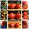 ПЕСТРЫЕ ЯБЛОКИ (PITTED APPLES) - ранний пестрый красный томат. Сайт Граф семена