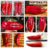 ПОРТЕКА F2 (PORTECA F2) - красный перец, капия