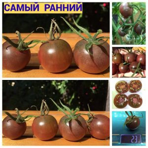 САМЫЙ РАННИЙ