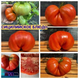 СИЦИЛИЙСКОЕ БЛЮДЦЕ (SICILIAN SAUCER) - крупный красный бифштекс