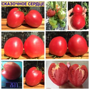 СКАЗОЧНОЕ СЕРДЦЕ