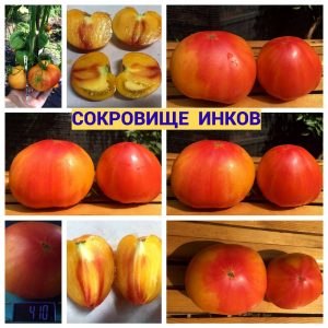СОКРОВИЩЕ ИНКОВ