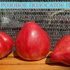 СЕРДЦЕ РОЗОВОЕ ПОЛОСАТОЕ ПЕССАКА (COEUR ROSE STRIE DE PESSAC) - утонченное сердце, 10 семян 6147 СЕРДЦЕ РОЗОВОЕ ПОЛОСАТОЕ ПЕССАКА 6147