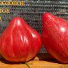 СЕРДЦЕ РОЗОВОЕ ПОЛОСАТОЕ ПЕССАКА (COEUR ROSE STRIE DE PESSAC) - утонченное сердце, 10 семян 6149 СЕРДЦЕ РОЗОВОЕ ПОЛОСАТОЕ ПЕССАКА 6149
