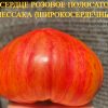 СЕРДЦЕ РОЗОВОЕ ПОЛОСАТОЕ ПЕССАКА (COEUR ROSE STRIE DE PESSAC) - утонченное сердце, 10 семян 6146 СЕРДЦЕ РОЗОВОЕ ПОЛОСАТОЕ ПЕССАКА 6146