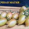 СКАЗОЧНЫЙ ФРУКТ (Märchenfrucht) - крупный яркий бифштекс-биколор, 5 семян 5137 СКАЗОЧНЫЙ ФРУКТ 5137
