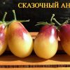СКАЗОЧНЫЙ ФРУКТ (Märchenfrucht) - крупный яркий бифштекс-биколор, 5 семян 5716 СКАЗОЧНЫЙ ФРУКТ 5716