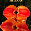 СОКРОВИЩЕ ИНКОВ (INK’S TREASURE) - оранжевый яркий биколор, 10 семян 6316 СОКРОВИЩЕ ИНКОВ 6316