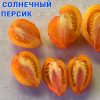ГНОМ СОЛНЕЧНЫЙ ПЕРСИК (SUNKISSED PEACH) -  сливка-сердце би-колор, 5 семян 6218 Сорт томата СОЛНЕЧНЫЙ ПЕРСИК 6218