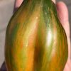 ТЮЛЬПАН ЗЕЛЕНЫЙ (TULIP GREEN) - крупная зеленая сливка-биколор, 5 семян 6663 ТЮЛЬПАН ЗЕЛЕНЫЙ (TULIP GREEN). Среднеспелый экзотический сорт 6663