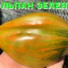 ТЮЛЬПАН ЗЕЛЕНЫЙ (TULIP GREEN) - крупная зеленая сливка-биколор, 5 семян 6664 ТЮЛЬПАН ЗЕЛЕНЫЙ (TULIP GREEN). Среднеспелый экзотический сорт 6664