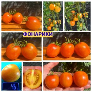 ФОНАРИК