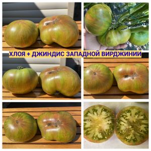 ХЛОЯ+ДЖИНДИС ЗАПАДНОЙ ВИРДЖИНИИ