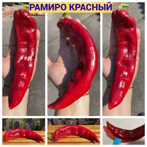 РАМИРО КРАСНЫЙ (RAMIRO RED) - красный перец, каппи