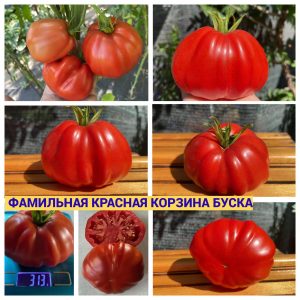 ФАМИЛЬНАЯ КРАСНАЯ КОРЗИНА БУСКА
