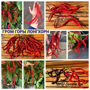ГРОМ ГОРЫ ЛОНГХОРН