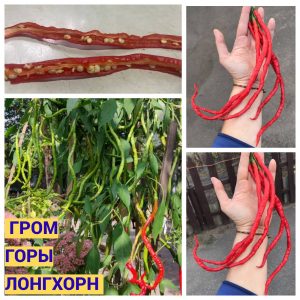 ГРОМ ГОРЫ ЛОНГХОРН