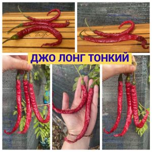 ДЖО ЛОНГ