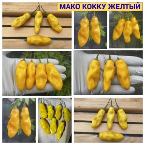 МАКО КОККУ ЖЕЛТЫЙ
