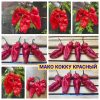 МАКО КОККУ КРАСНЫЙ