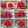 ПЕНИС ПЕППЕРА