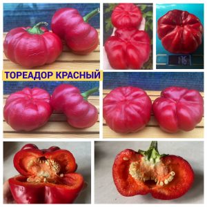 ТОРЕАДОР КРАСНЫЙ