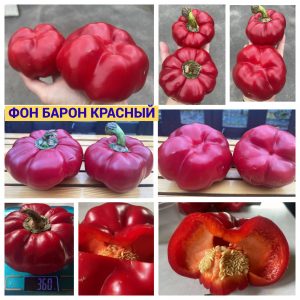 ФОН БАРОН КРАСНЫЙ