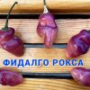 ФИДАЛГО РОКСА (FIDALGО ROXA) - фиолетовый перец, острый, антоциан, 3 семян 6841 ФИДАЛГО РОКСА 6841