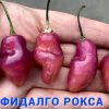 ФИДАЛГО РОКСА (FIDALGО ROXA) - фиолетовый перец, острый, антоциан, 3 семян 6842 ФИДАЛГО РОКСА 6842