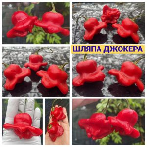 ШЛЯПА ДЖОКЕРА