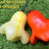 АДЖИ ОРХИДЕЯ (AJI ORCHID) - красный перец, острый, 5 семян 7080 АДЖИ ОРХИДЕЯ 7080