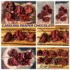 КАРОЛИНА РИПЕР ШОКОЛАД