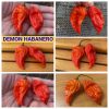 ХАБАНЕРО ДЕМОН