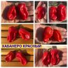 ХАБАНЕРО КРАСНЫЙ