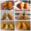 ХАБАНЕРО ПЕРСИК