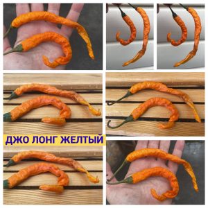 ДЛИННЫЙ ДЖО желтый перец